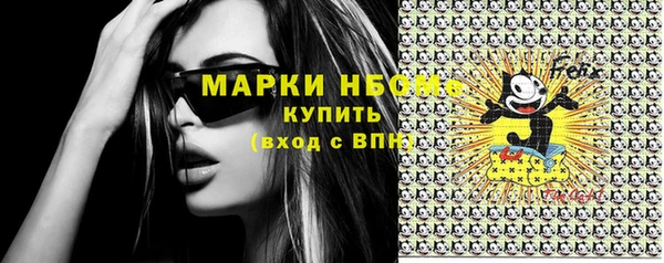 ПСИЛОЦИБИНОВЫЕ ГРИБЫ Кедровый