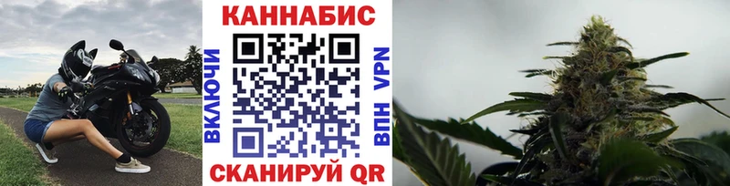 Конопля тримм  блэк спрут вход  Киреевск 